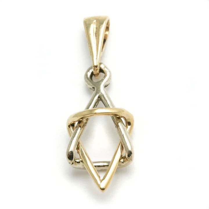 14k Yellow & White Gold Jewish Star of David Pendant 3D