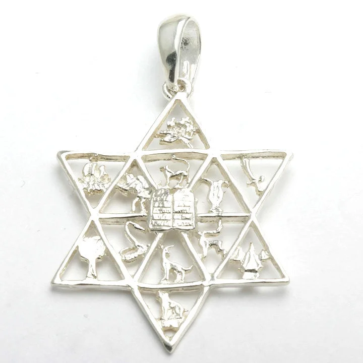 Sterling Silver 12 Tribes Jewish Star of David Pendant Large